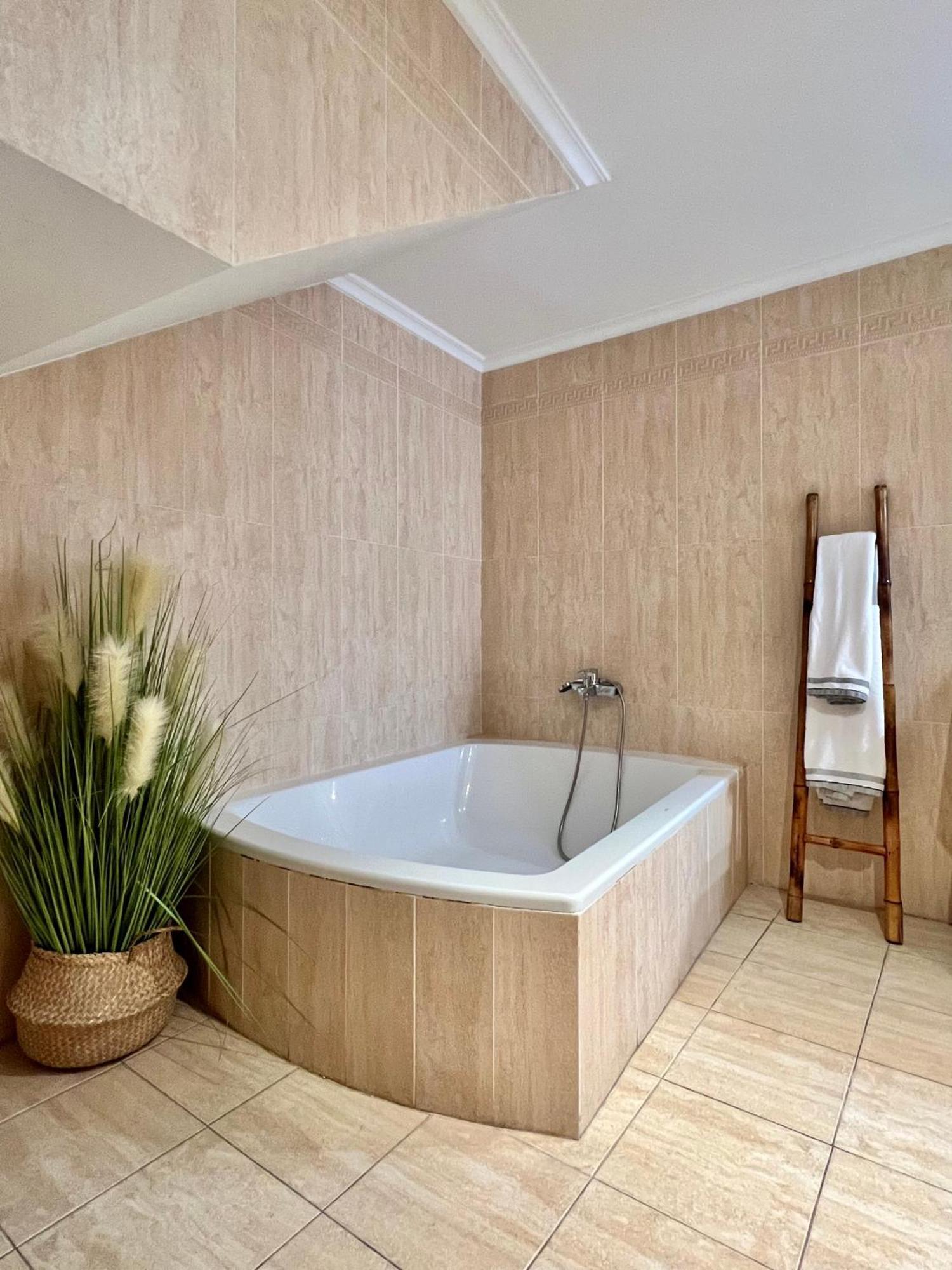 Apartamentos San Antonio Aranda de Duero Dış mekan fotoğraf